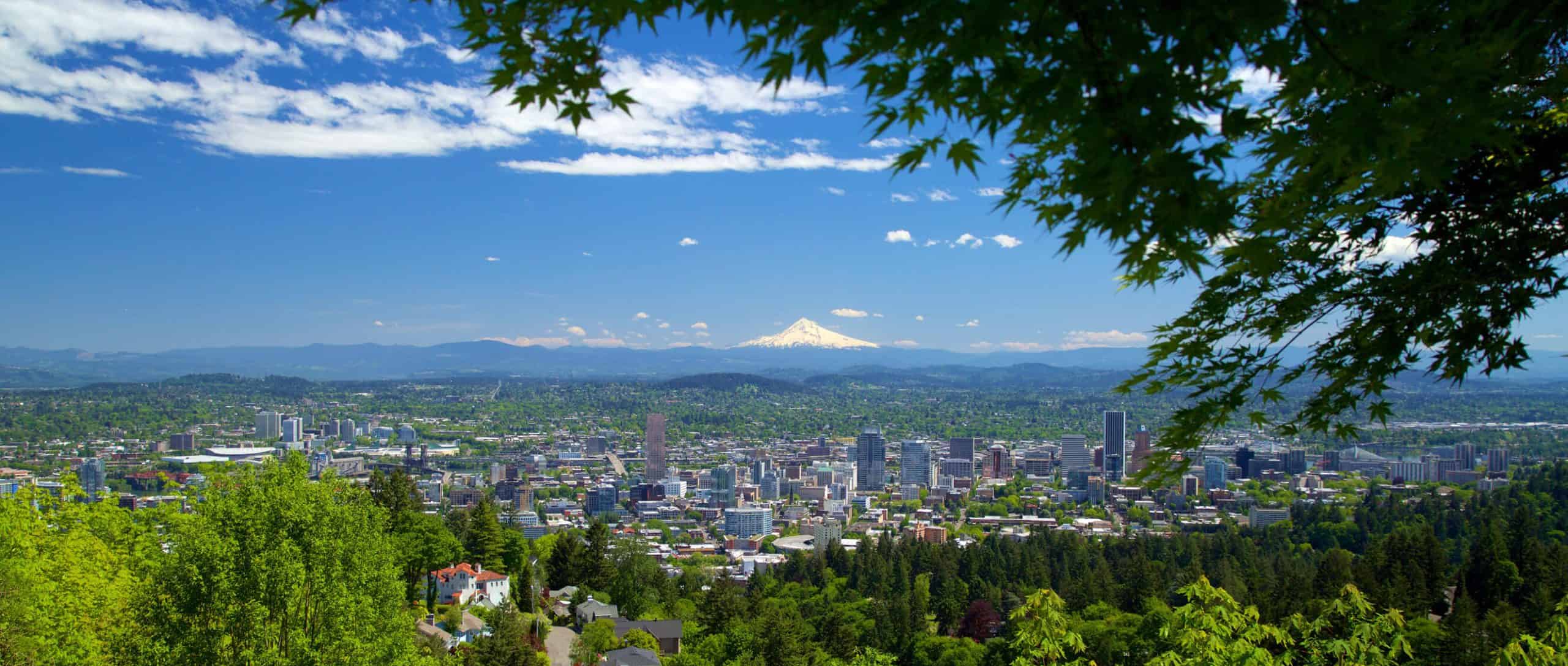 View of Portland, OR and Mt. Hood slightly obscured by tree in top-right foreground